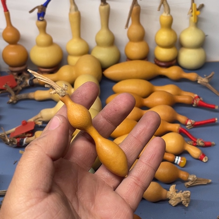 飞****尖肚蚂蚁葫芦绿皮蚂蚁
