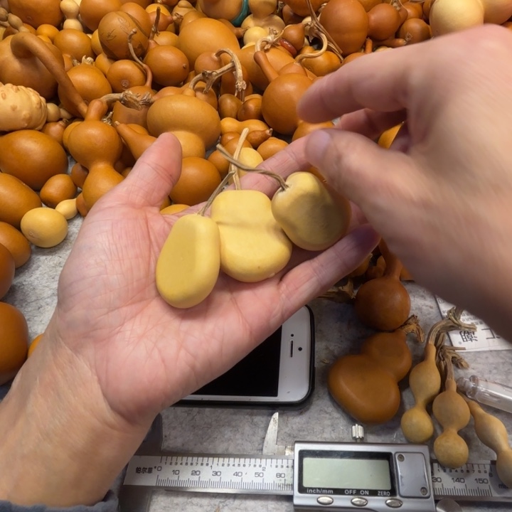 红***国红豆生南国的四把加碘葫芦