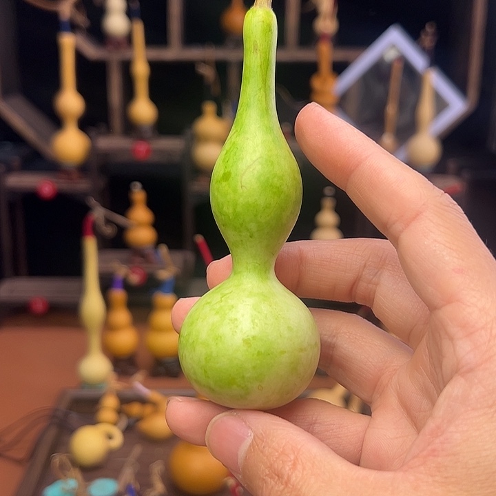 锋***吹葫芦笙的声音真的好