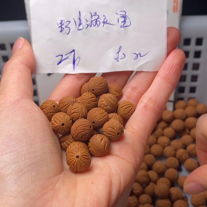 D***弟手串桃核11mm左右野生满天星27颗（打孔）