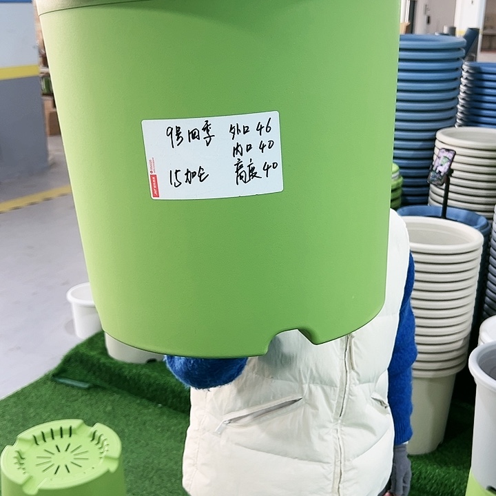 特价9号四季口46高40果绿无托4只