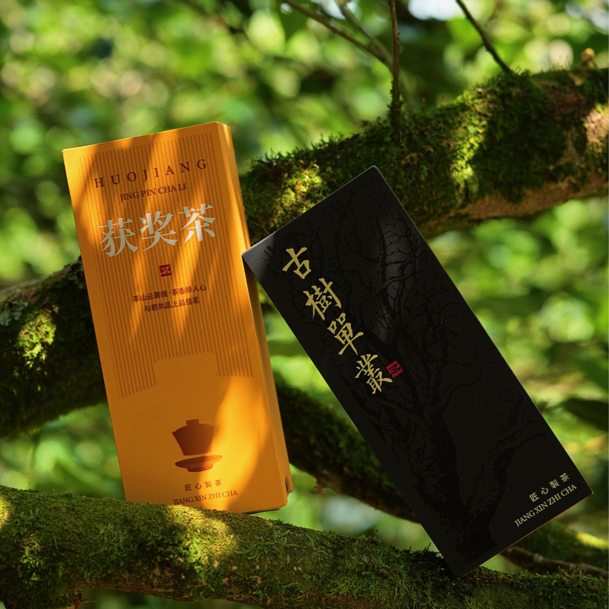 【2025春茶-交给朋友资深品鉴】大庵高山凤凰单枞茶老枞古树碳焙