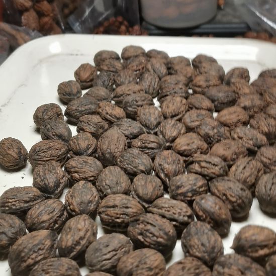 老***邪文玩核桃吊坠东北楸异形籽小核桃18