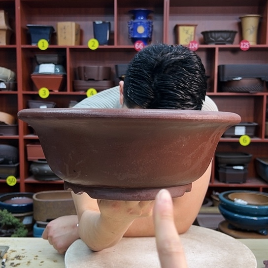 紫砂花盆中香气飘香