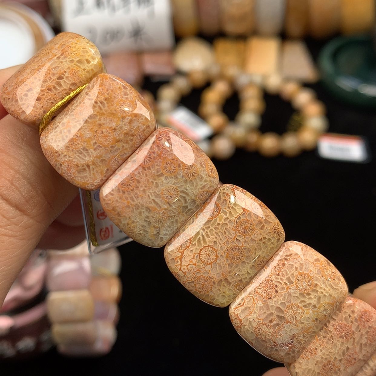 【闪购商品】硅化珊瑚（珊瑚玉）手镯未镶嵌新货手牌