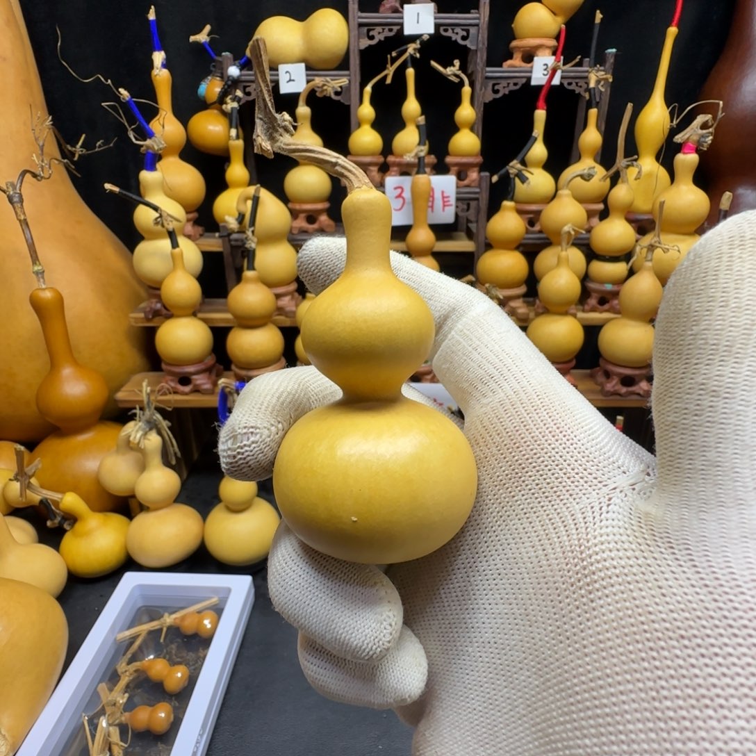 鑫***鑫葫芦哥哥哥哥哥哥哥哥哥哥