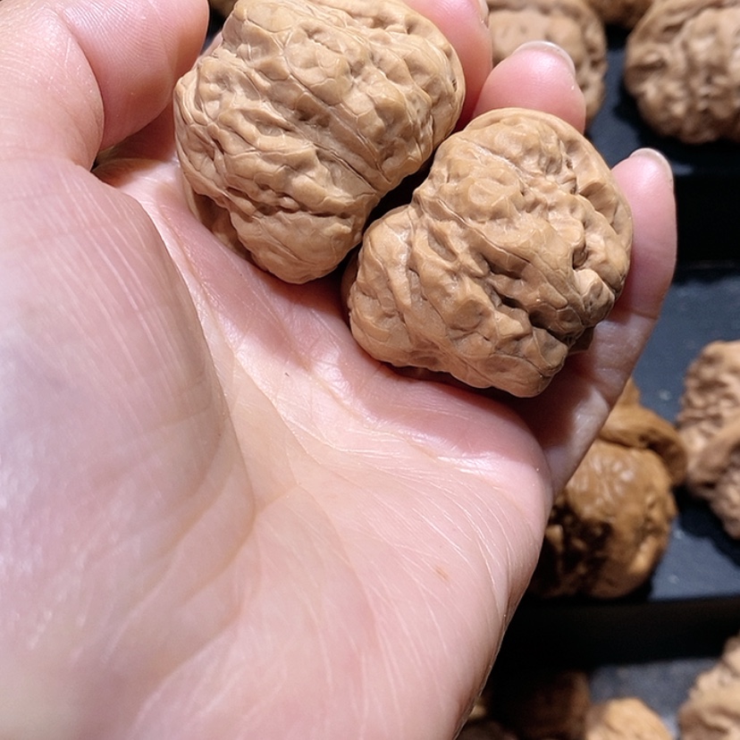 【闪购商品】核桃手串/手链可**丸39边蛤蟆头