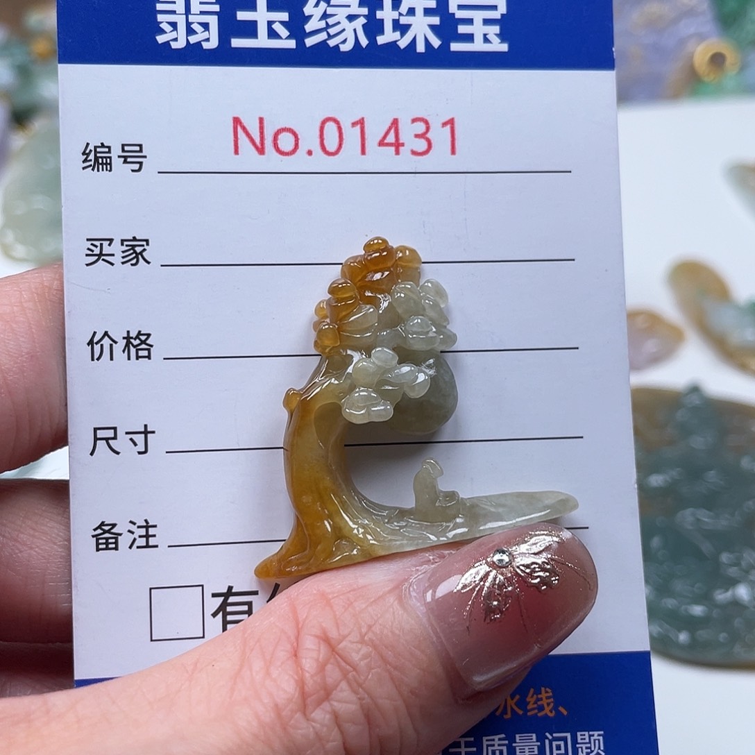 翡翠颈饰未镶嵌翡玉缘翡翠