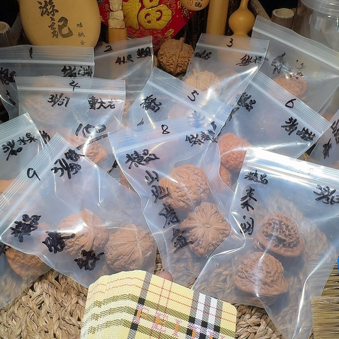 风***尘核桃两次1111111111