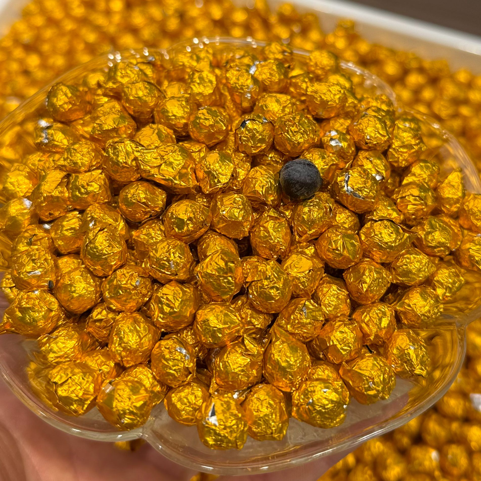 【小官甄选】植物乳植杆菌 老六堡茶膏