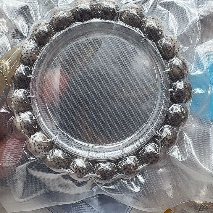 星月菩提手串316尽头黑灰星月菩提11桶单圈