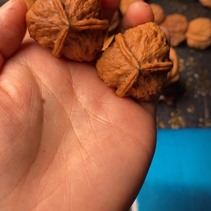 文玩核桃吊坠铁核桃29