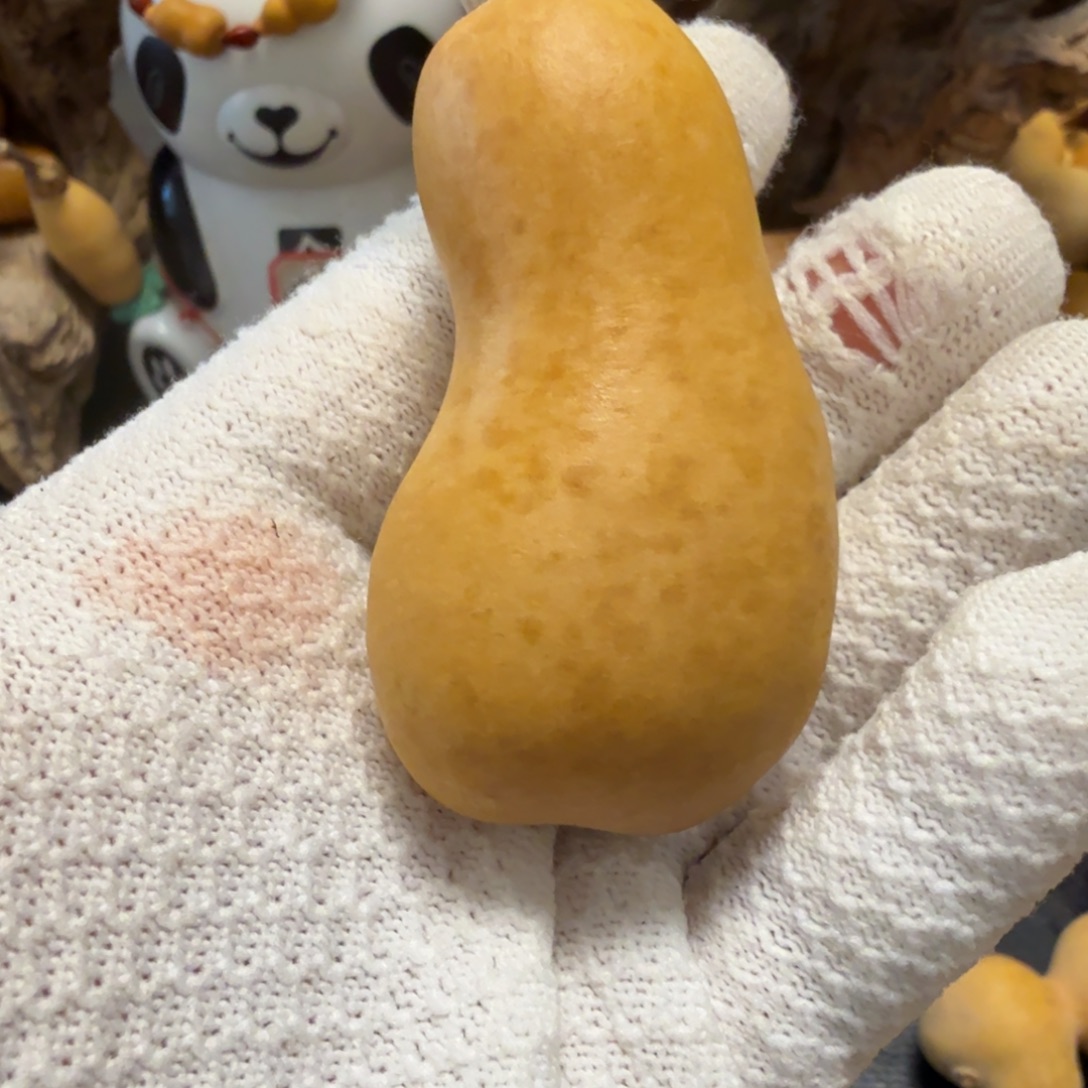 @***二666666666666666666666