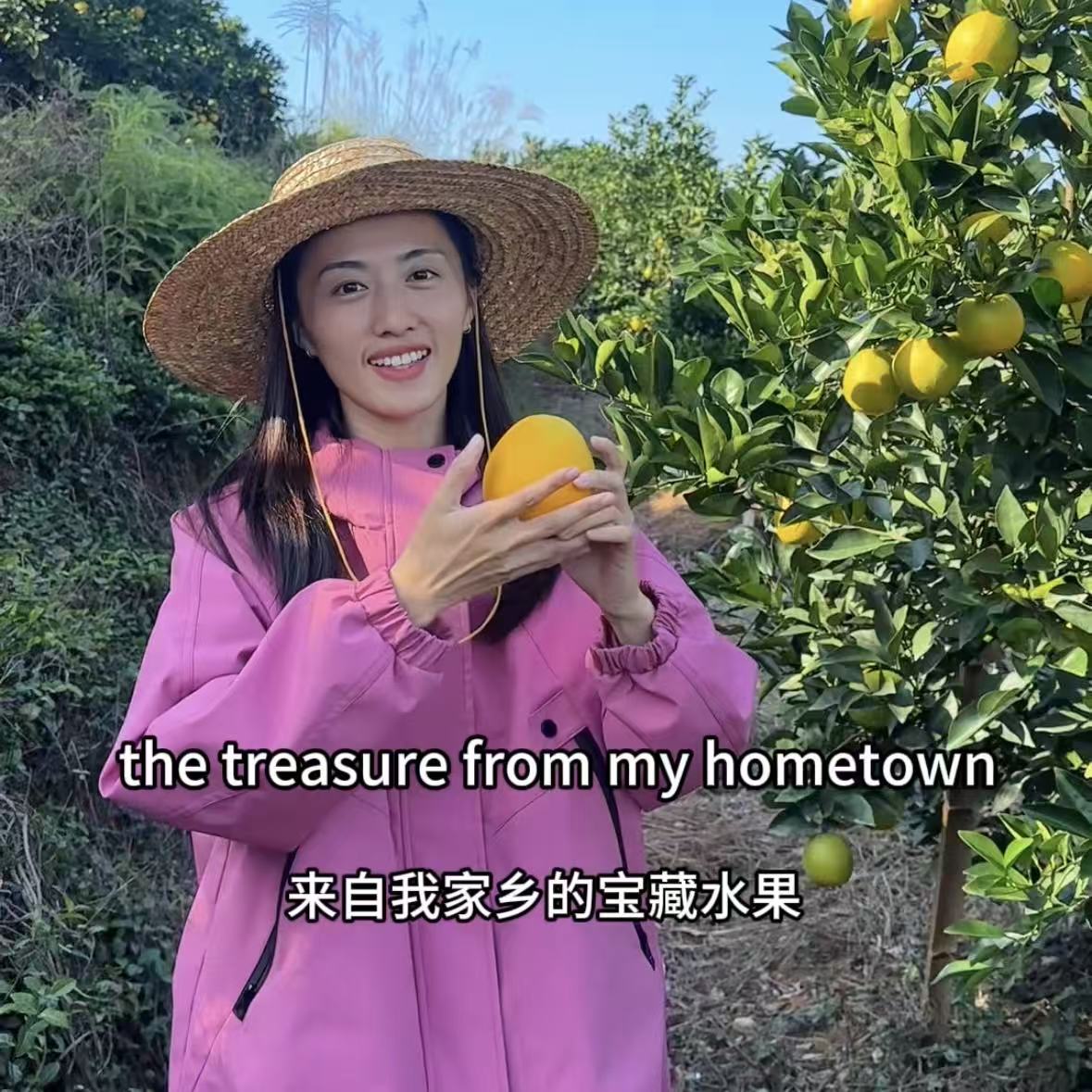 《顺丰包邮带枝叶现摘》正宗赣南脐橙净重3斤当季新鲜香甜橙优水果
