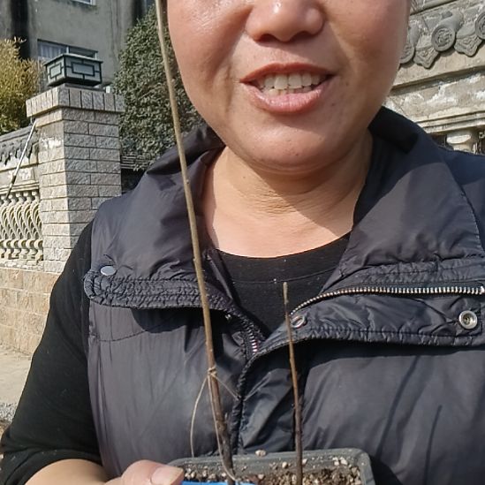 东***就无花朵456655699999