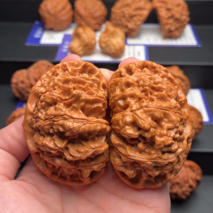 核桃58尺尺大官帽