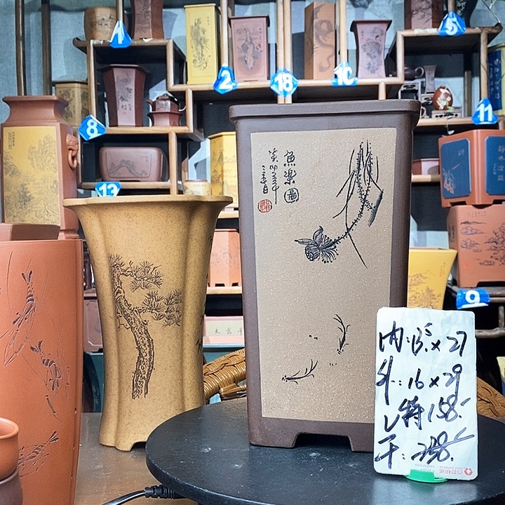 紫砂阳光老师特价158