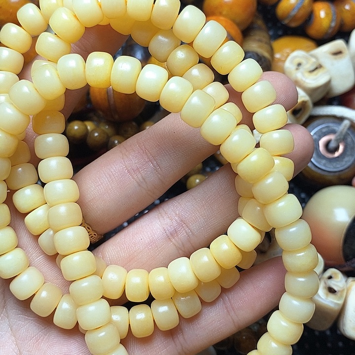 其他驼骨其他配饰