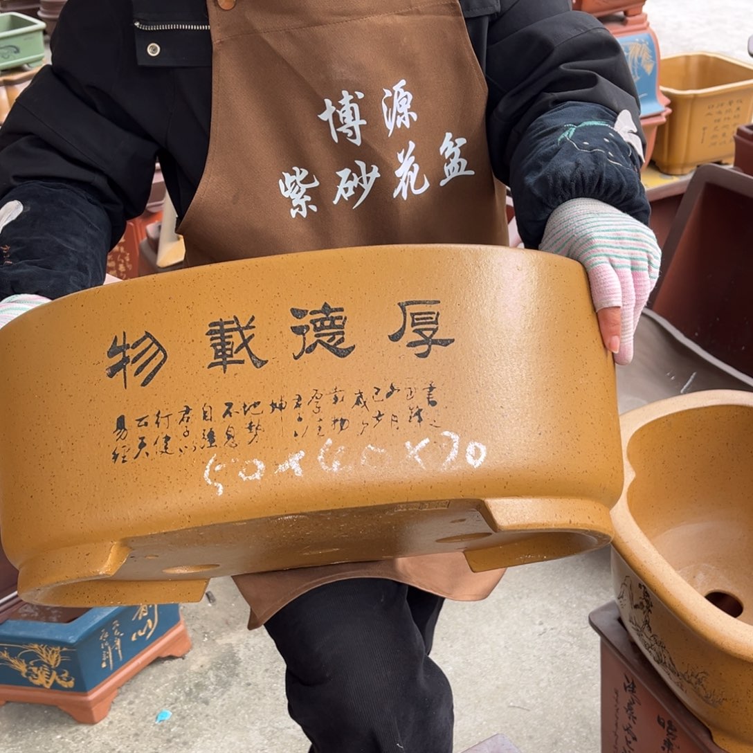 花盆紫砂盆景艺术