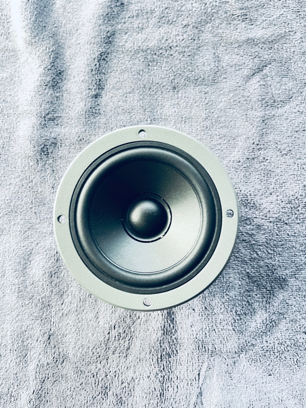 丹拿171中音汽车喇叭
