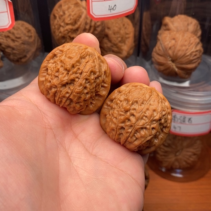 核桃麻核桃血麒麟36