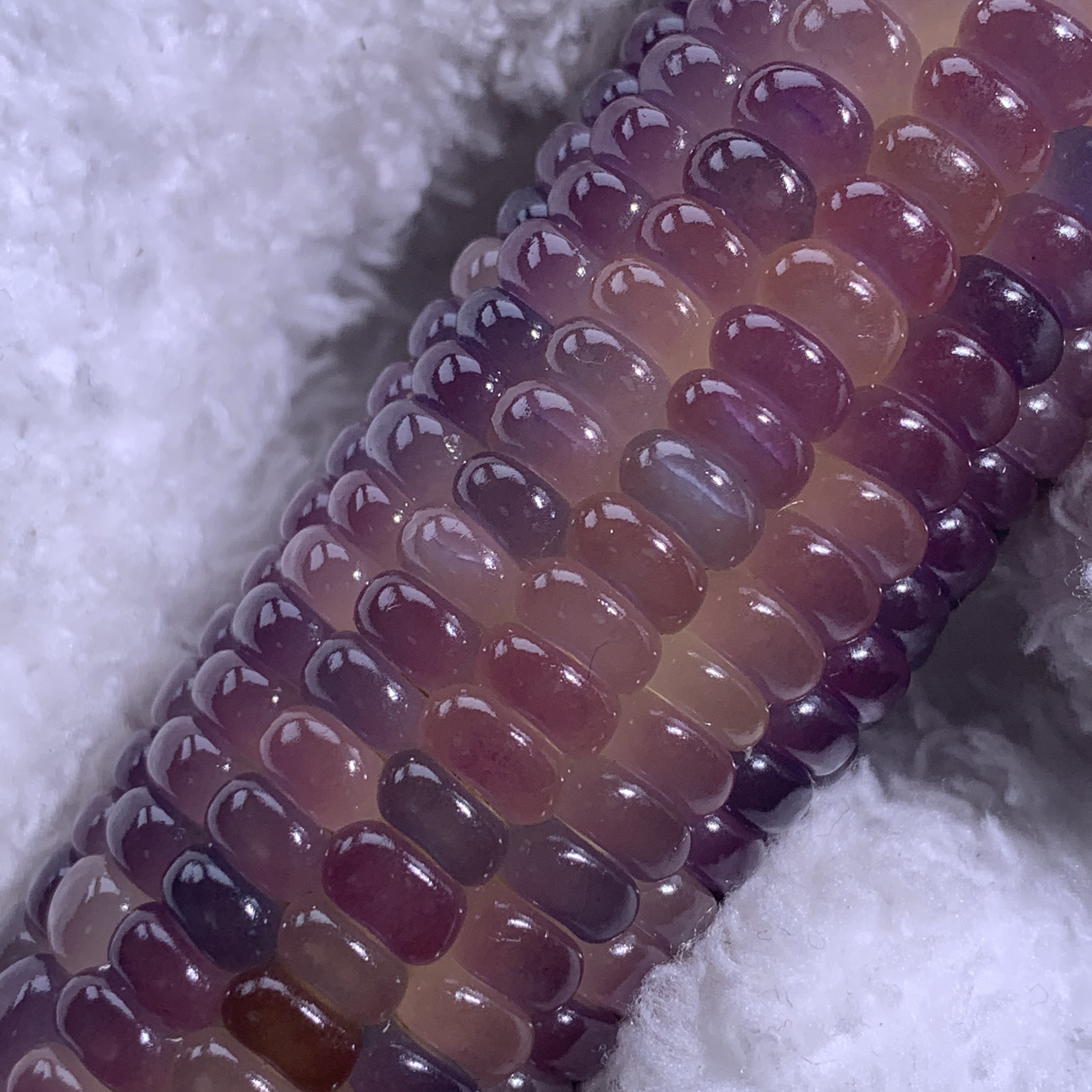 宝石文玩玉米摆件（偏远专用链接）