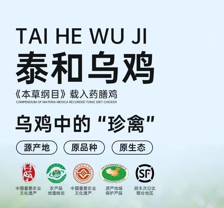 78 泰和乌鸡 丝毛乌骨鸡   好养好活  现挑现选 包邮发货