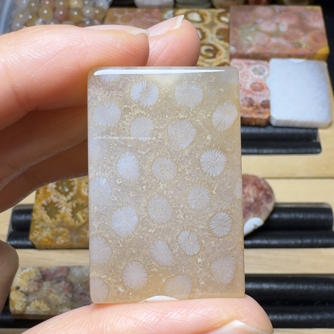 硅化玉糖白花未镶嵌