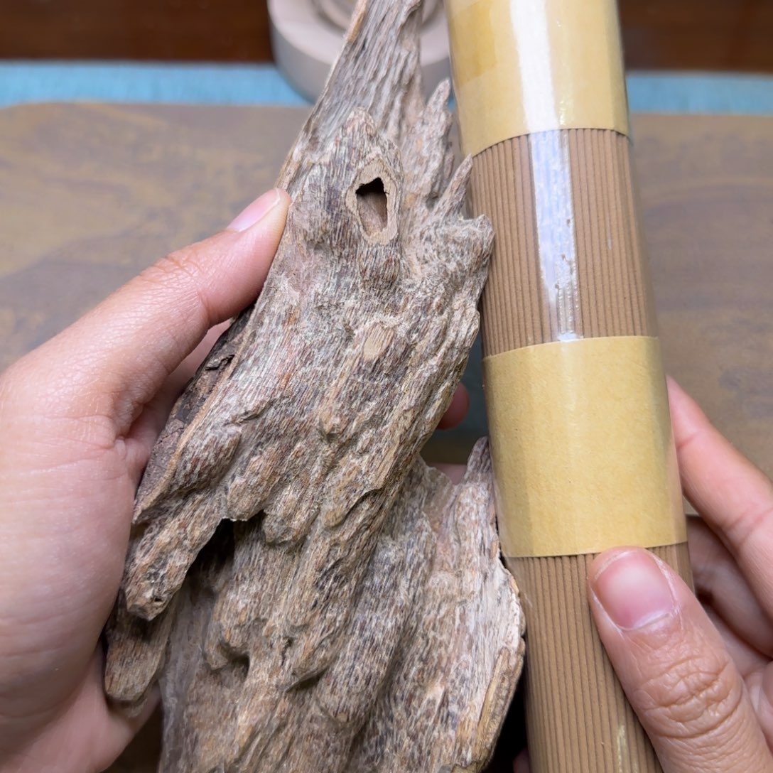 海南金丝结虎斑奇65克重福利