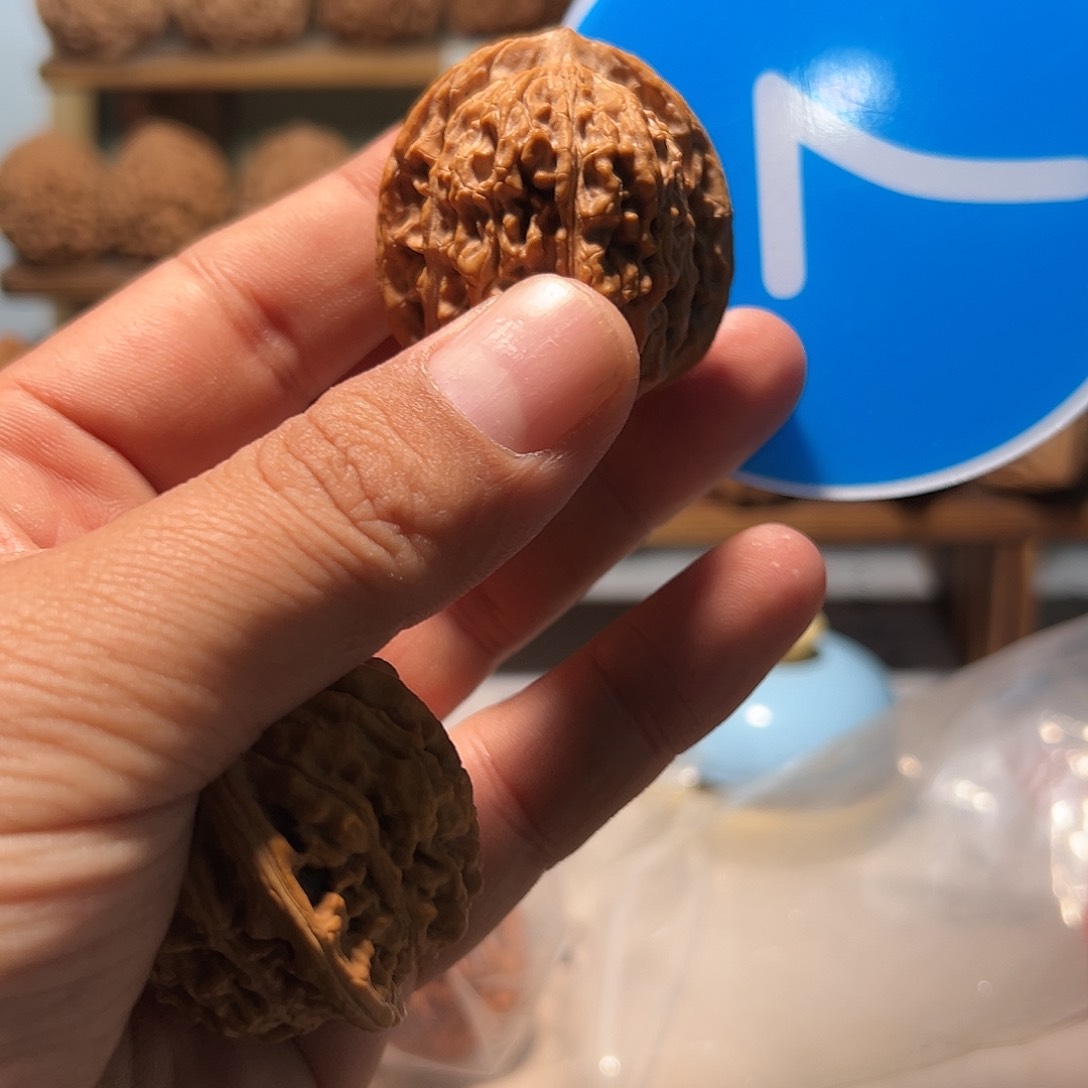 老树楼无药，蓝色007