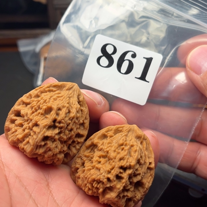 核桃38全品南疆石