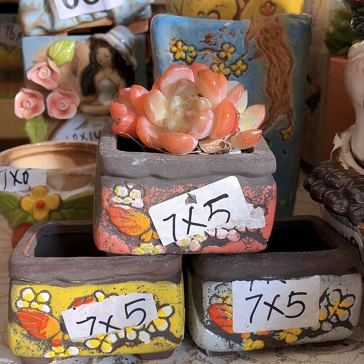 多肉花盆，满15包邮