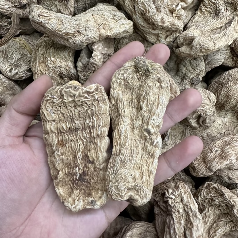 【小曾优选】昭通小草坝-天麻