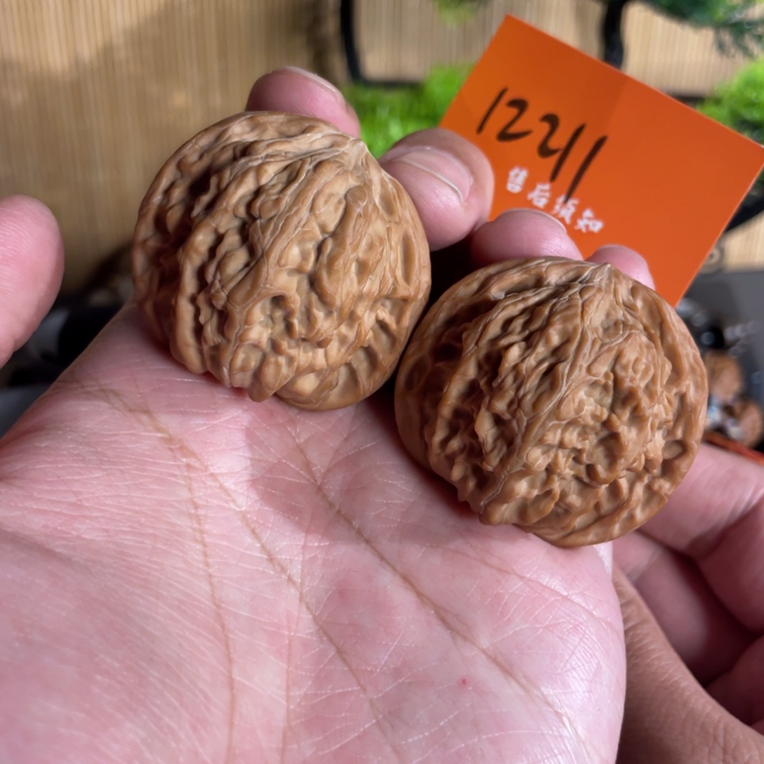 文玩核桃吊坠43山地磨盘全品红皮12211