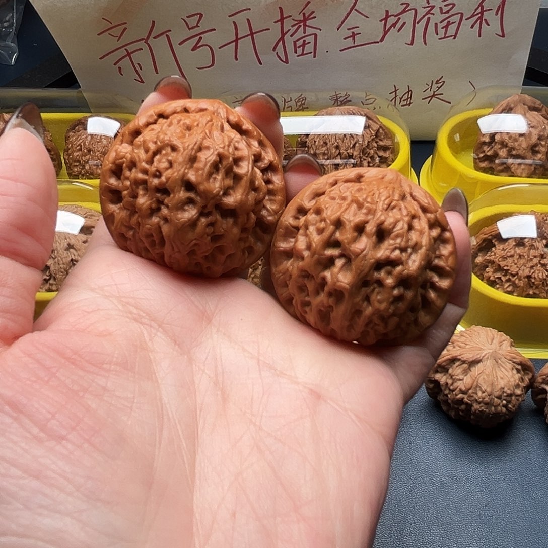 核桃40尺寸京公子
