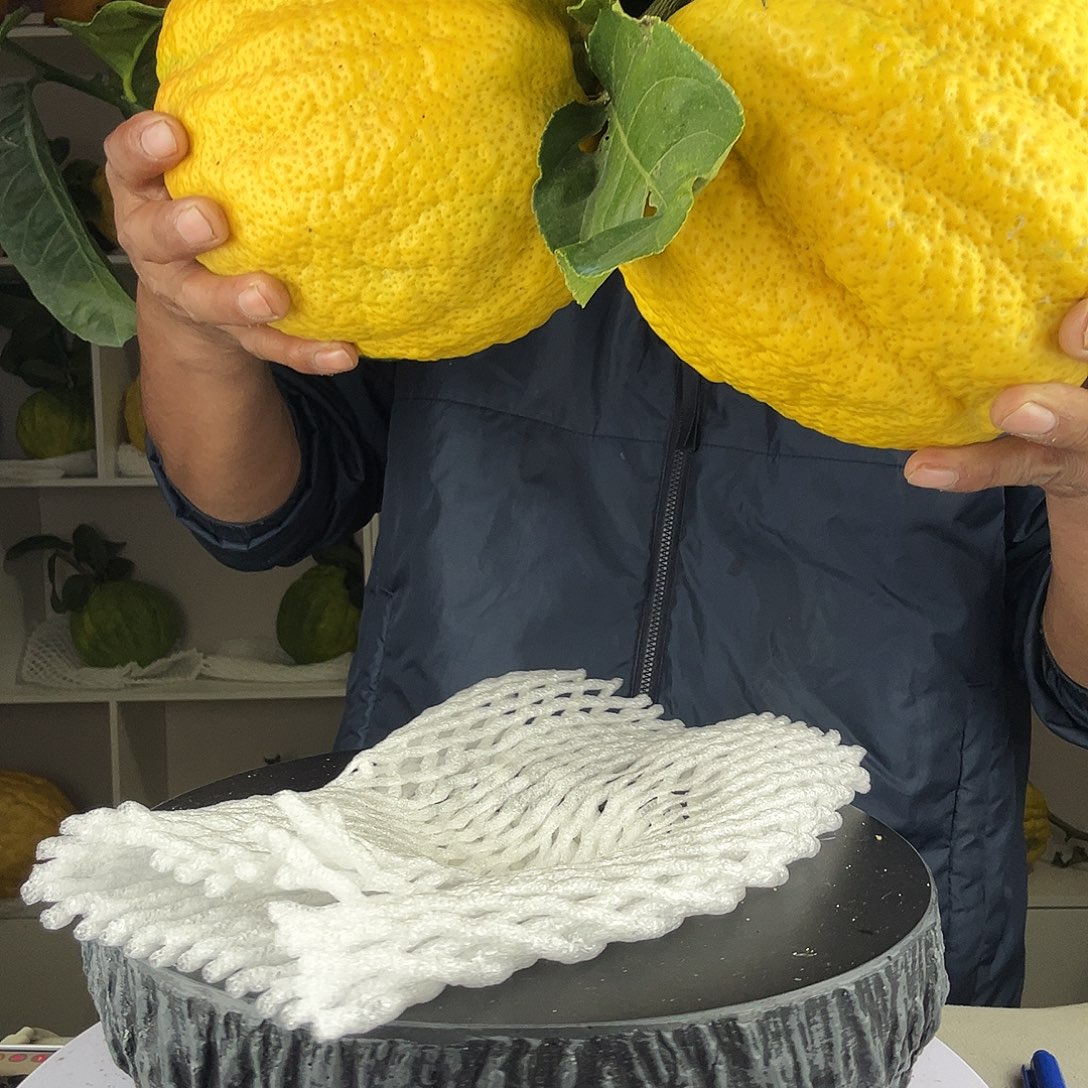 阿***紅香水柠檬云南高山大香橼