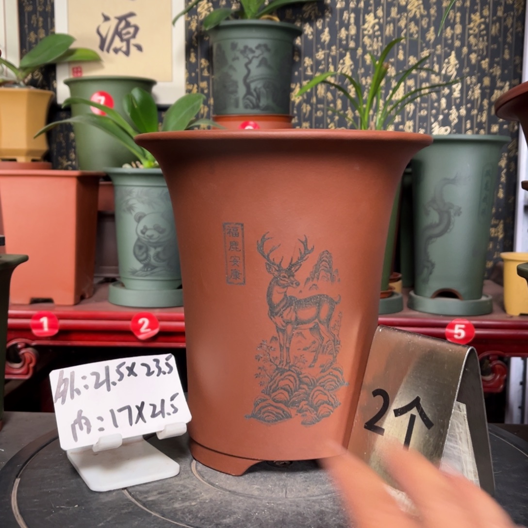 紫砂花盆紫砂花盆