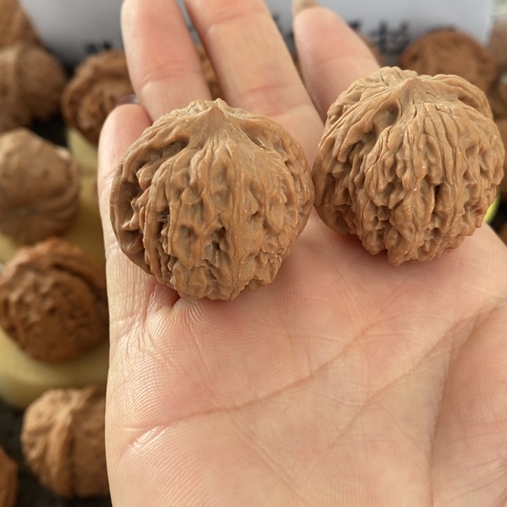 欧****饰京西元宝无修无修无修