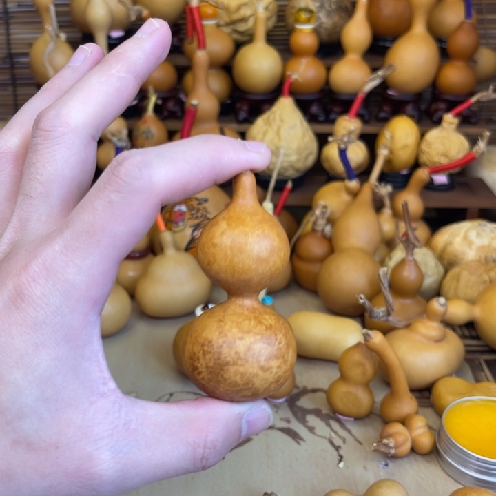 重花叶病天津嘴厚皮响籽7