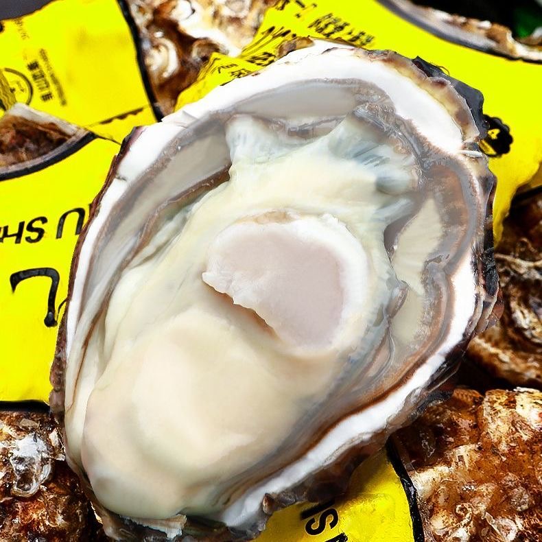 精品生蚝 刺身品质 顺丰冷链发货 斤
