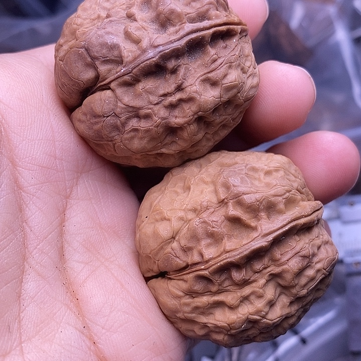 文玩核桃把件   44