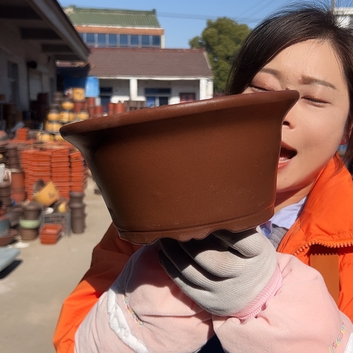 朱泥碗大号一个花盆花盆花盆
