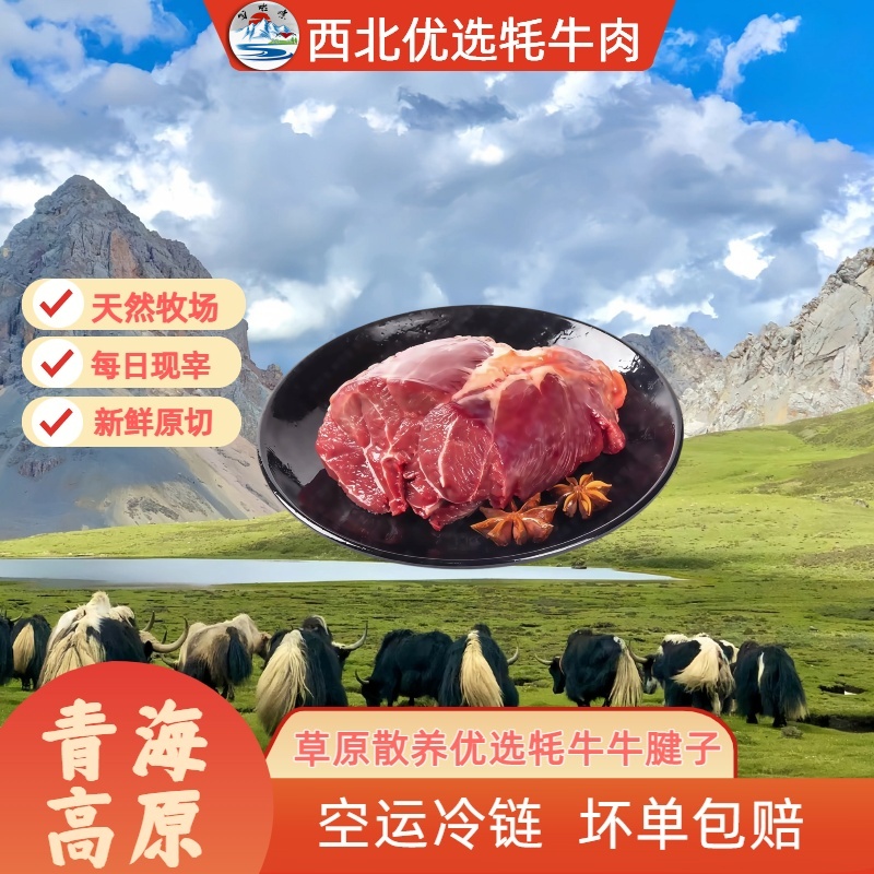 [青海牦牛牛腱子4斤]西北优选青藏高原牦牛肉顺丰空运包邮