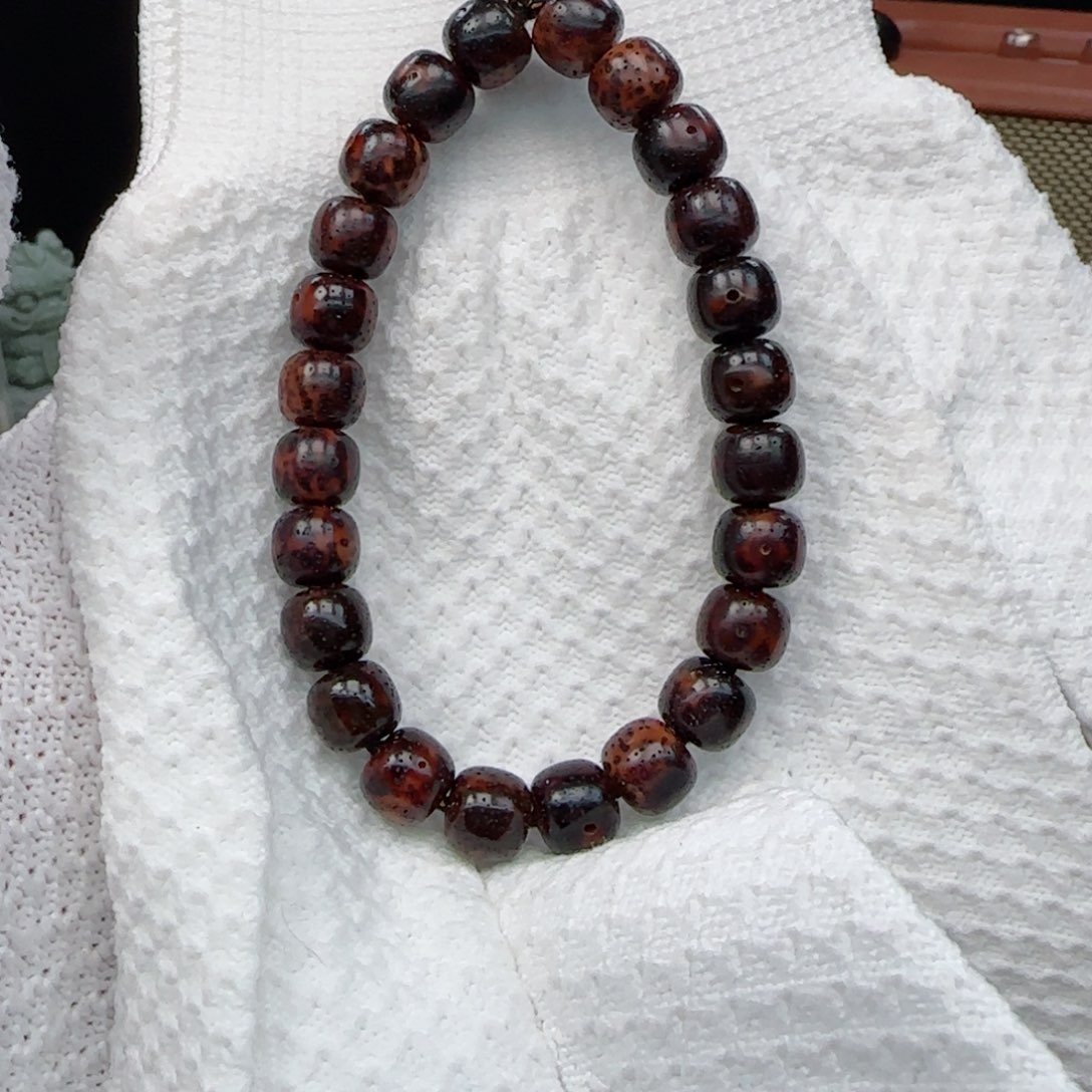 星月菩提手串陈籽黑金虎皮10*9