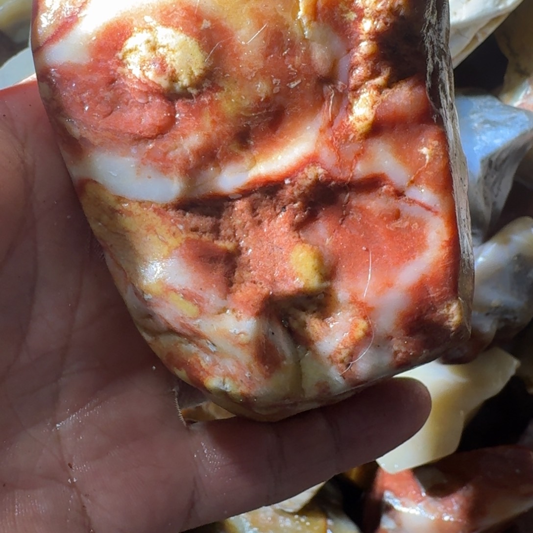 青***房寿山石899888889999