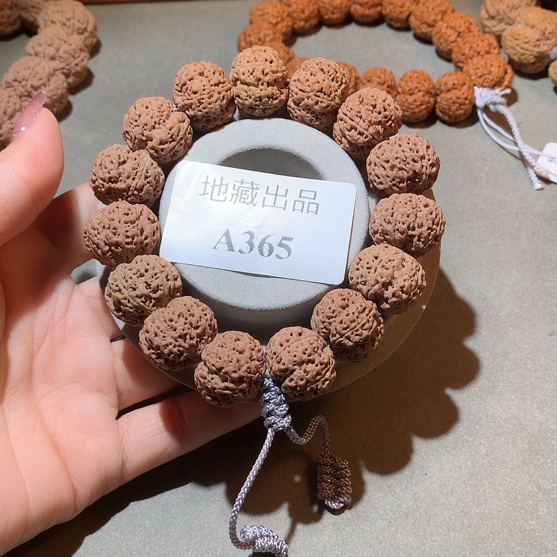 金刚菩提手串自**生20尺寸5星双龙