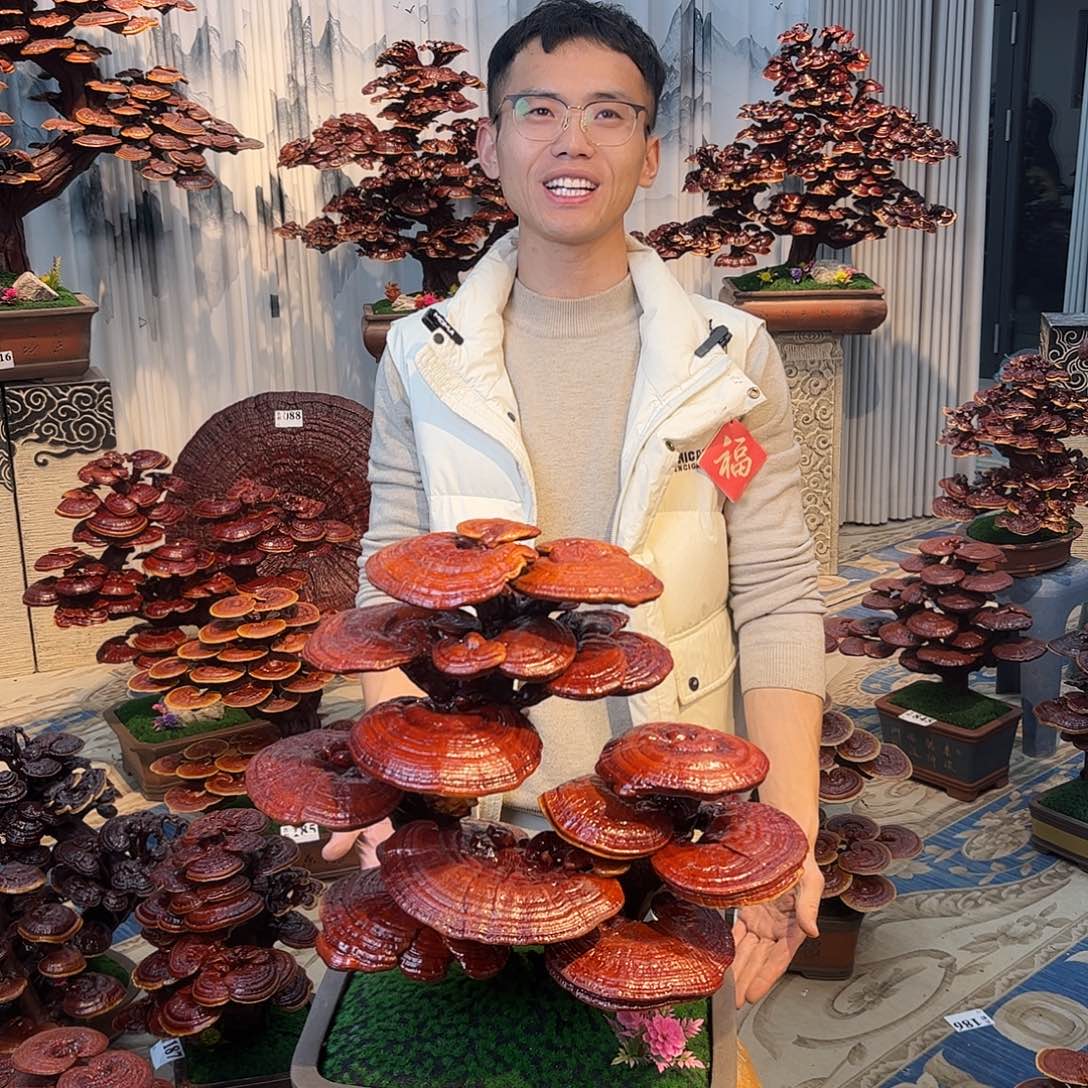 无花朵8888888888888