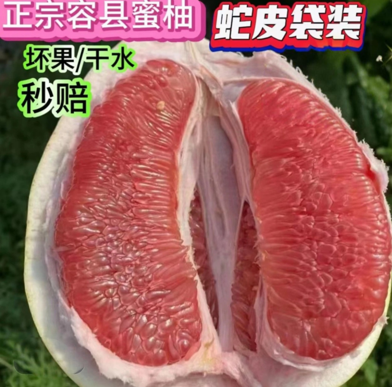 正宗广西容县沙田柚红肉蜜柚甜酸可口开胃薄皮红心柚子现摘现发