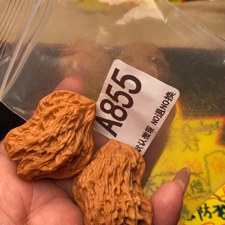 小鸟855号12345678