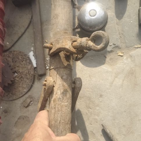 鲁***）品相如图所示看好了下单